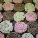 Assorted Cupcakes - Sprinkles